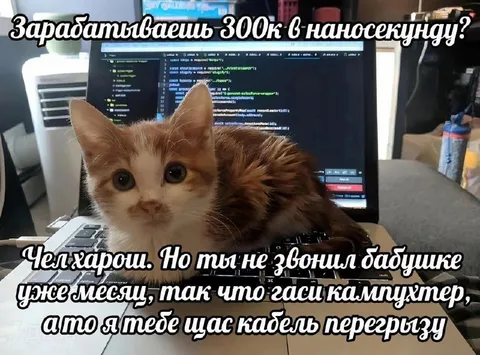 Кот требует позвонить бабушке