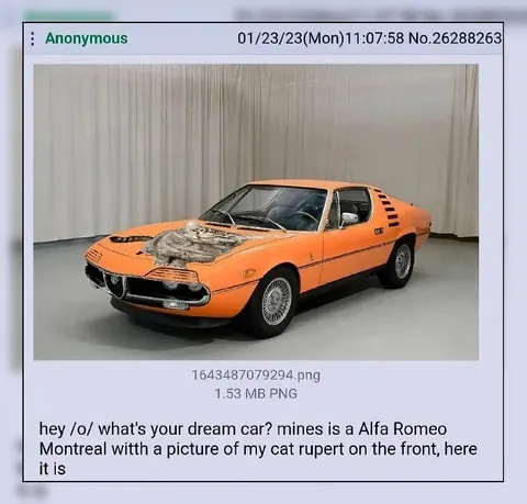 Dream Car With Cat Rupert