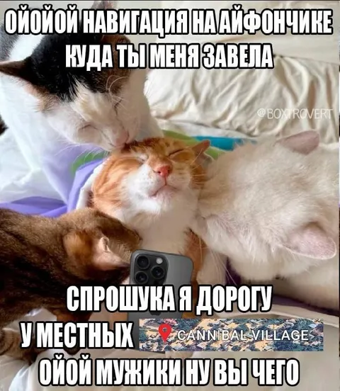 Навигация завела к каннибалам
