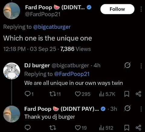 We Are All Unique Twins