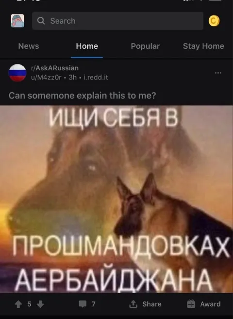 Ищи себя в прошмандовках Лервайджана
