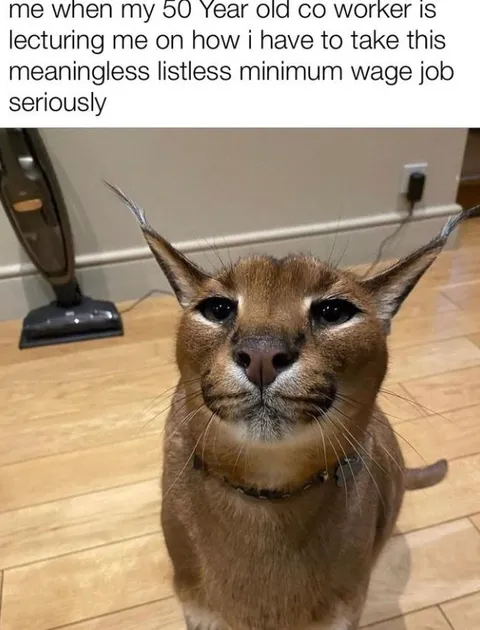 Minimum Wage Job Lecture