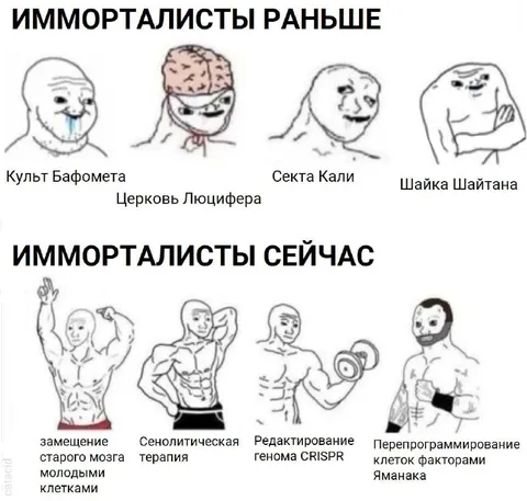 Имморталисты раньше и сейчас