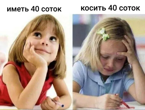 Иметь и косить 40 соток