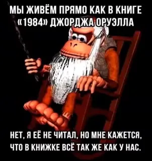 Жизнь как в книге 1984