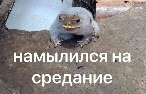Намылился на средание