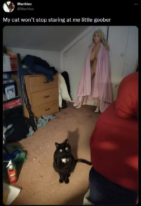 Cat Staring at Little Goober