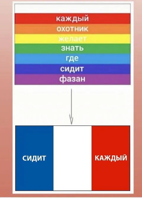 Где сидит каждый фазан