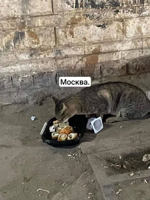 Москва ест суши на улице