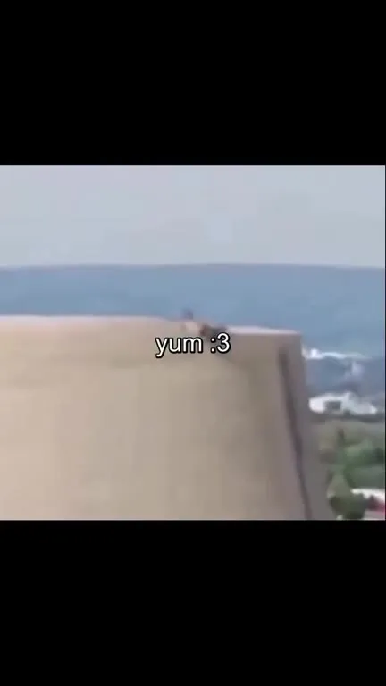 Excavator Lifts a Person Over the Wall