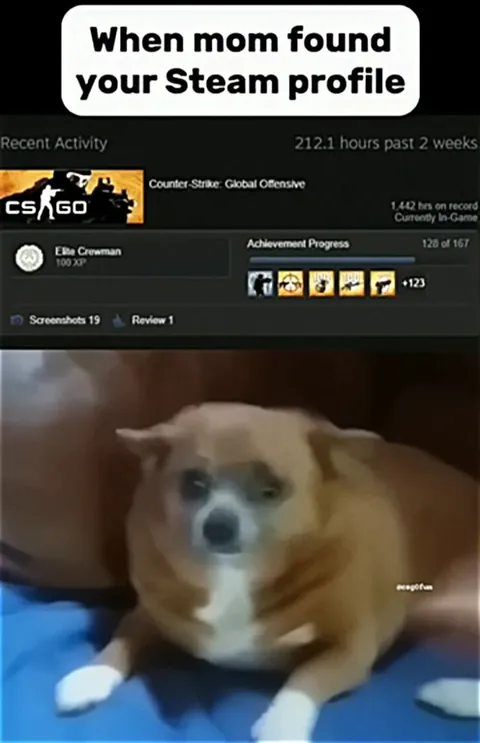 Mom Finds Your Steam Profile