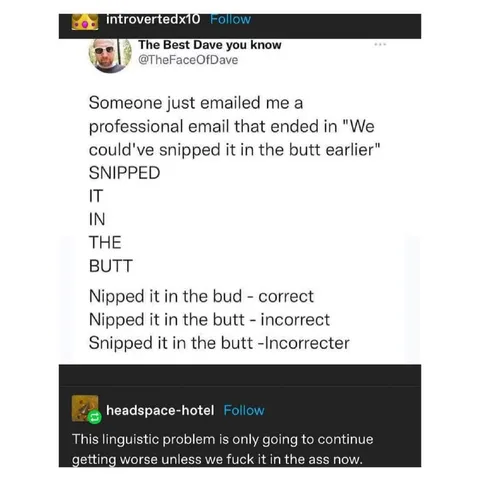 Snipped It in the Butt
