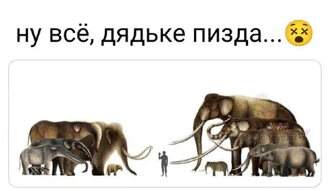 Ну всё, дядьке пизда