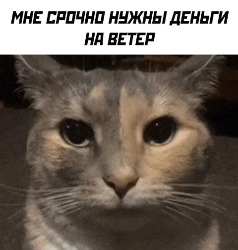 Срочно нужны деньги на ветер