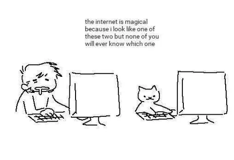 The Internet Is Magical