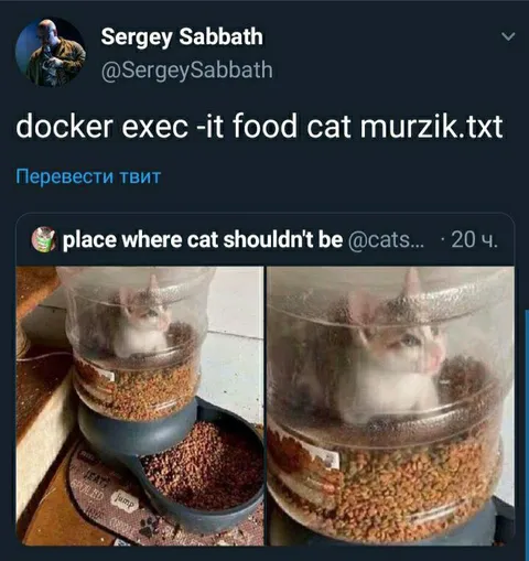 Docker Finds Murzik in the Feeder