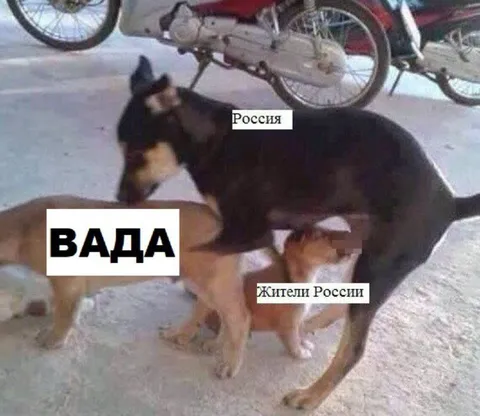 Россия кусает ВАДА