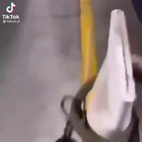 Собака открывает дверь поводком