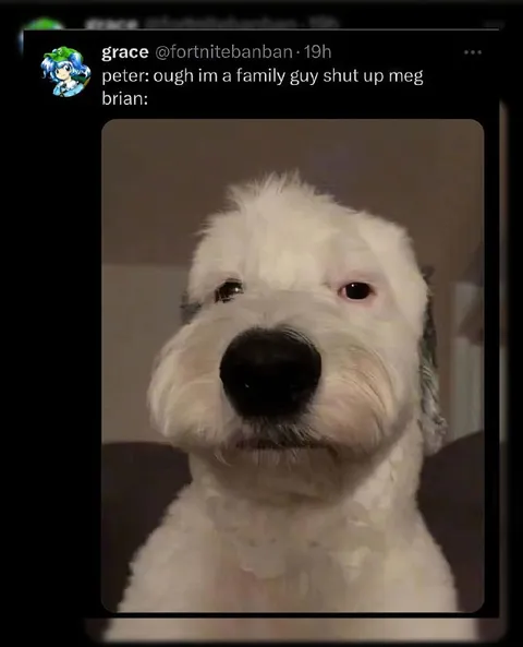 Family Guy Dog Reaction