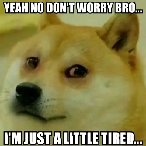 Tired Doge Offers Support