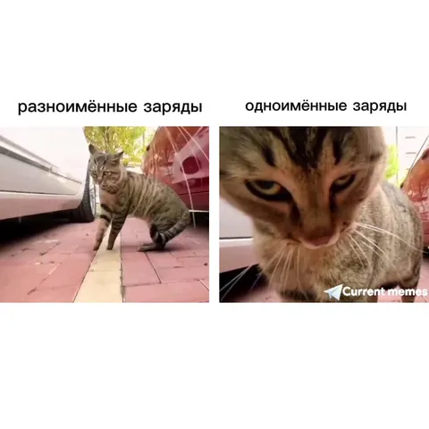 Разноимённые и одноимённые заряды