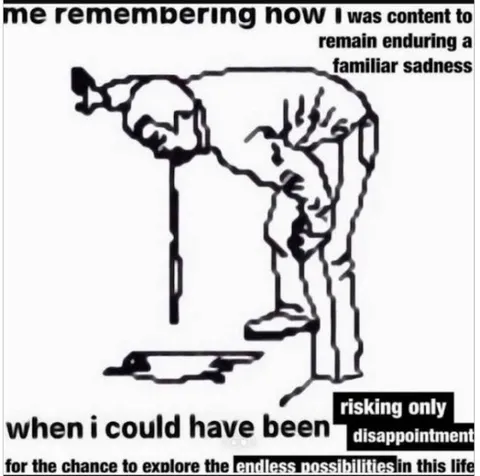 Risking Disappointment for Possibility
