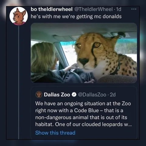 Cheetah Comes Along for McDonald's