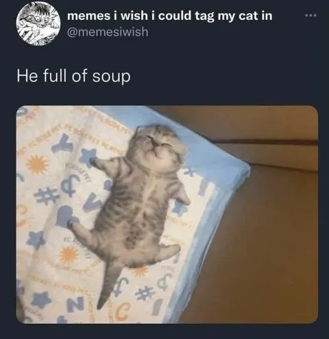 He Full of Soup Cat