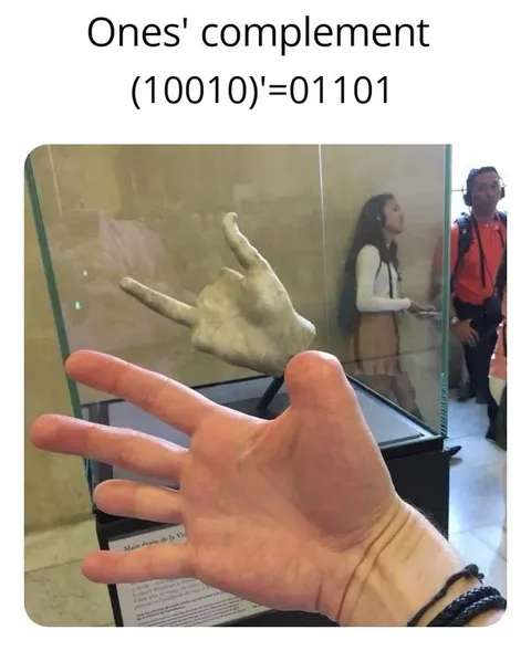 Ones' Complement Hand Gesture