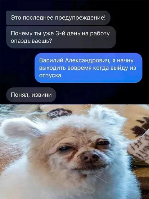 Когда выйду из отпуска