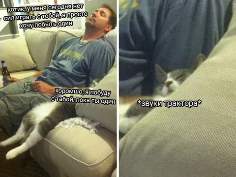 Котик, я побуду с тобой