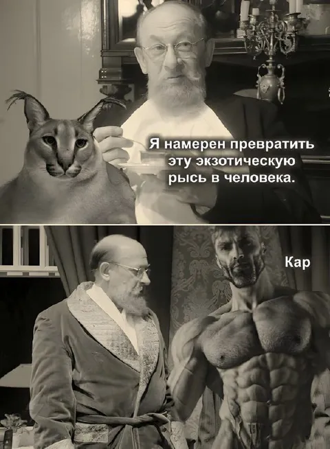 Превращение рыси в человека