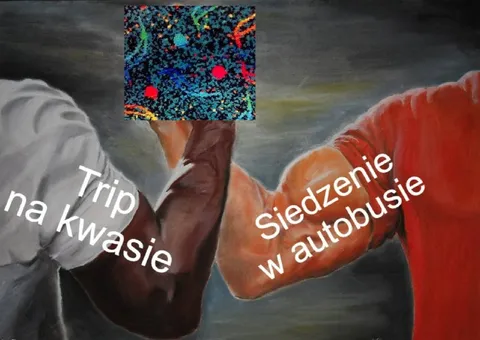 Trip na kwasie i jazda autobusem