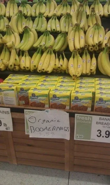 Organic Boomerangs Display