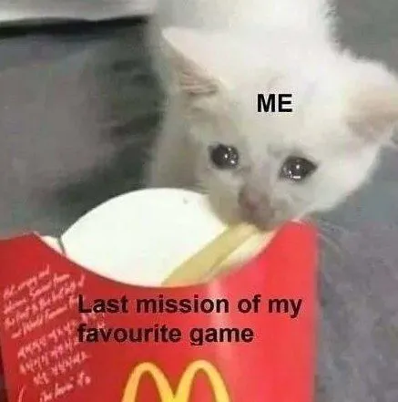 Kitten Plays the Last Mission