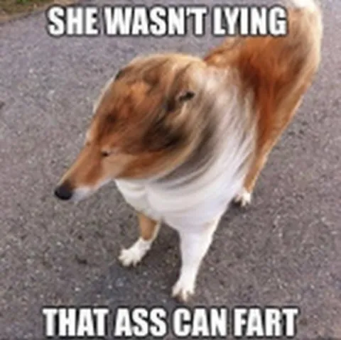 That Ass Can Fart