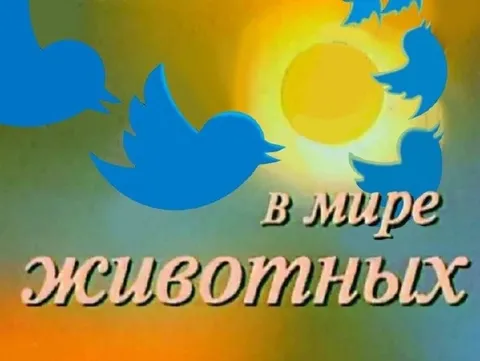 В мире животных