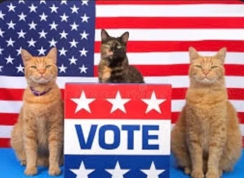 Cats Vote in America