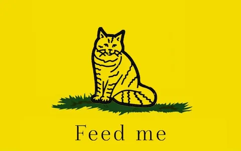 Feed Me Cat