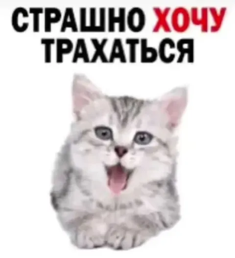 Котёнок очень хочет трахаться
