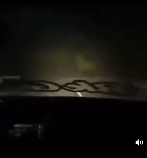 Олень под польскую корову