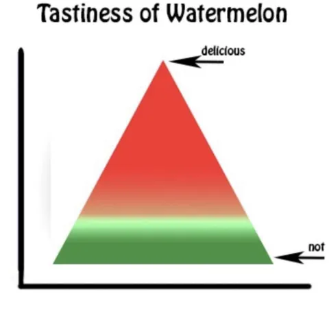 Watermelon Tastiness Graph