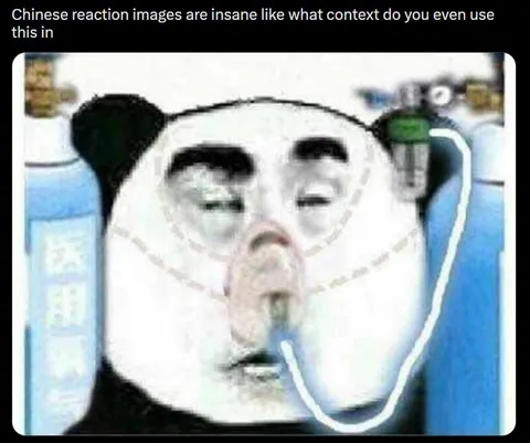 Chinese Reaction Image Confusion