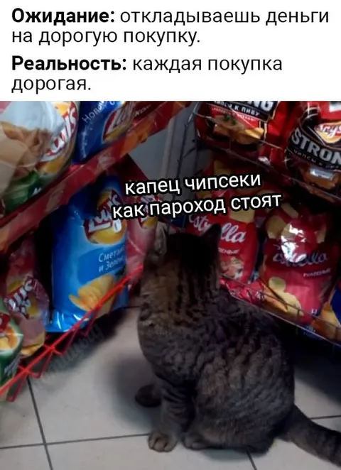 Когда каждая покупка дорогая