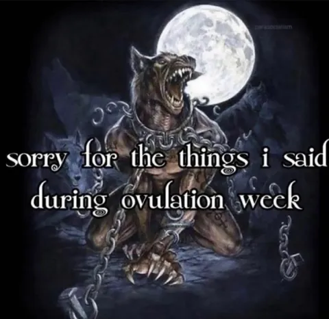 Sorry During Ovulation Week
