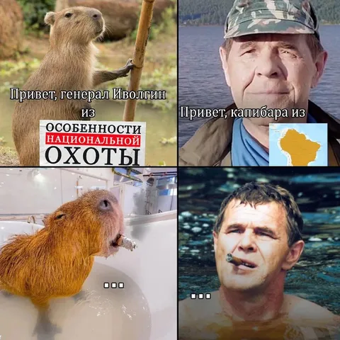 Привет, генерал Иволгин из капибар