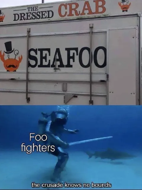 Foo Fighters Underwater Crusade