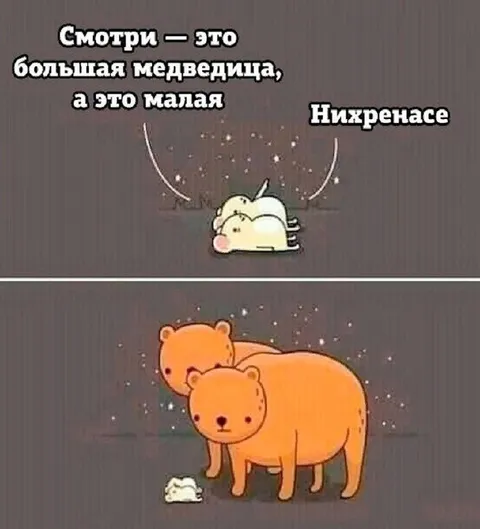 Большая и малая медведица