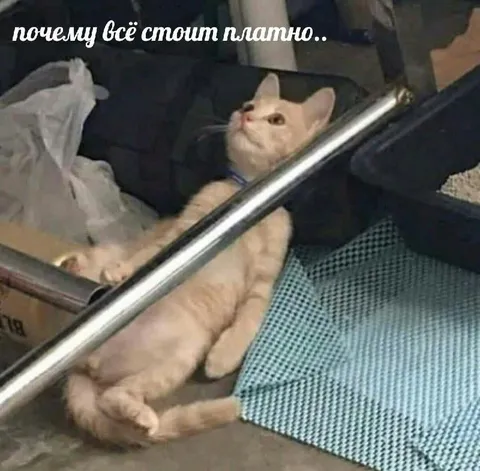Почему всё стоит платно