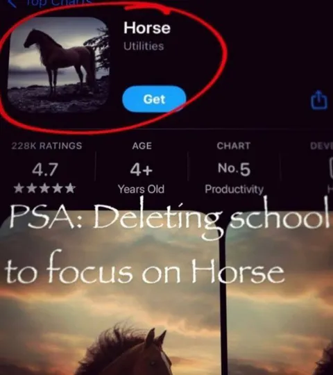 Deleting School for Horse
